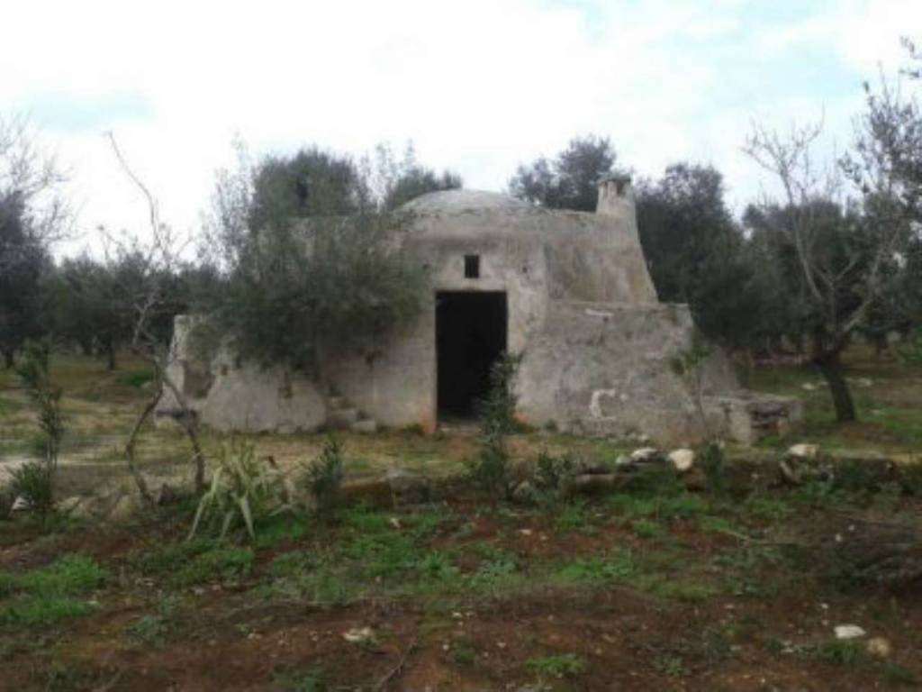 Rustico / casale a Ostuni in Contrada Musone - Foto 3
