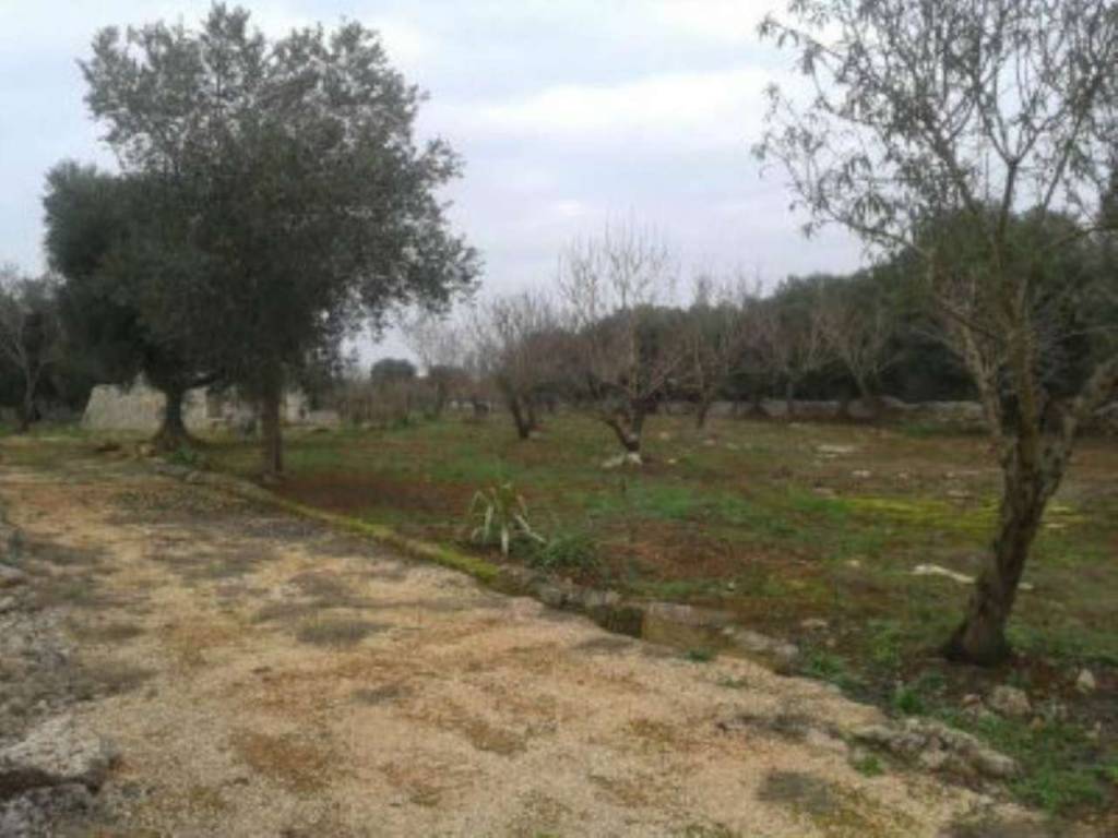 Rustico / casale a Ostuni in Contrada Musone - Foto 5