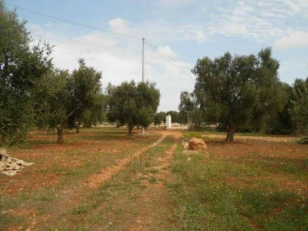 Rustico / casale a Ostuni - Foto 2