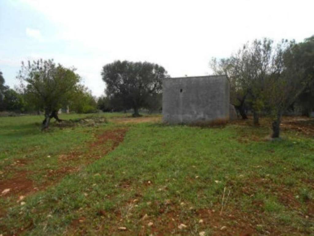 Rustico / casale a Ostuni - Foto 5