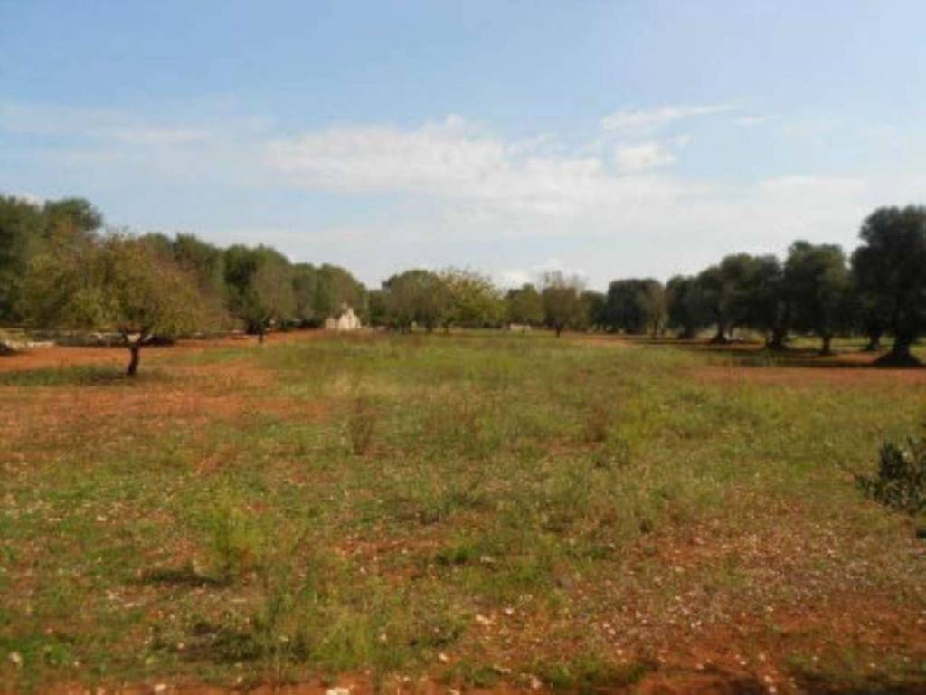 Rustico / casale a Ostuni in Contrada Guappi Falghero - Foto 4