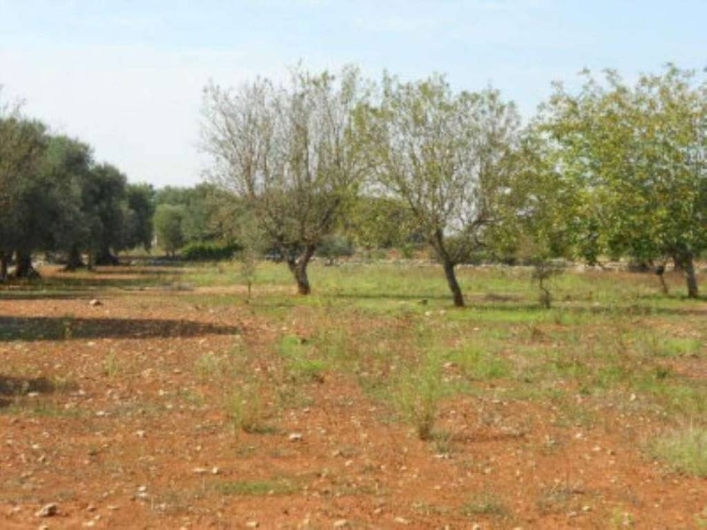 Rustico / casale a Ostuni in Contrada Guappi Falghero - Foto 5