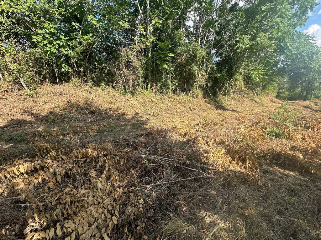 Terreno a Caserta in Via Vaccheria - Foto 5