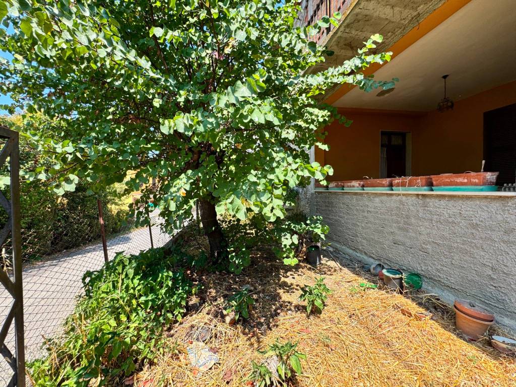 Villa a Veroli in Contrada Puppari - Foto 4