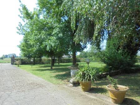 Villa a Crespino in Via Selva - Foto 5