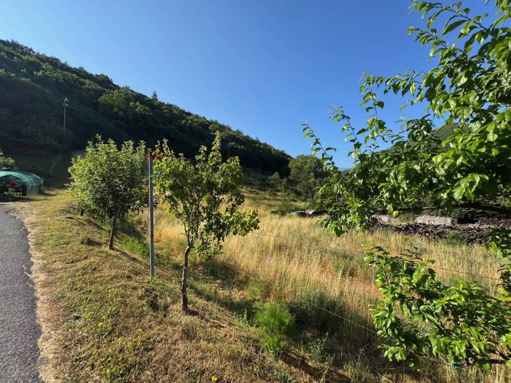 Terreno a Nocera umbra in Vocabolo Bagnara - Foto 4