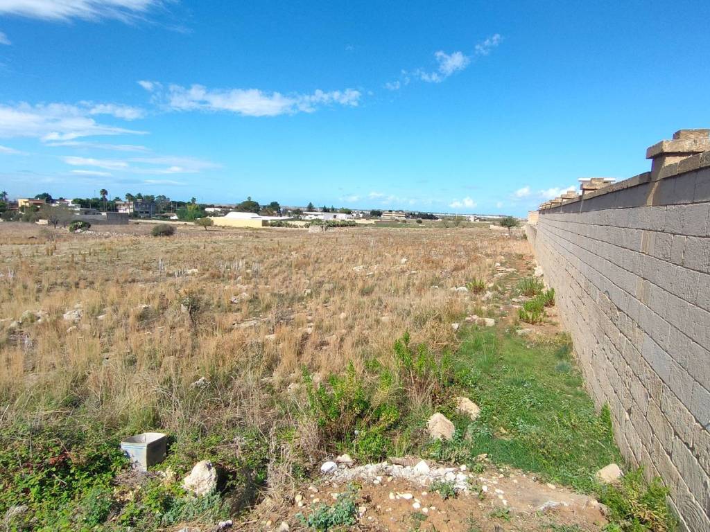 Terreno a Ugento - Foto 3