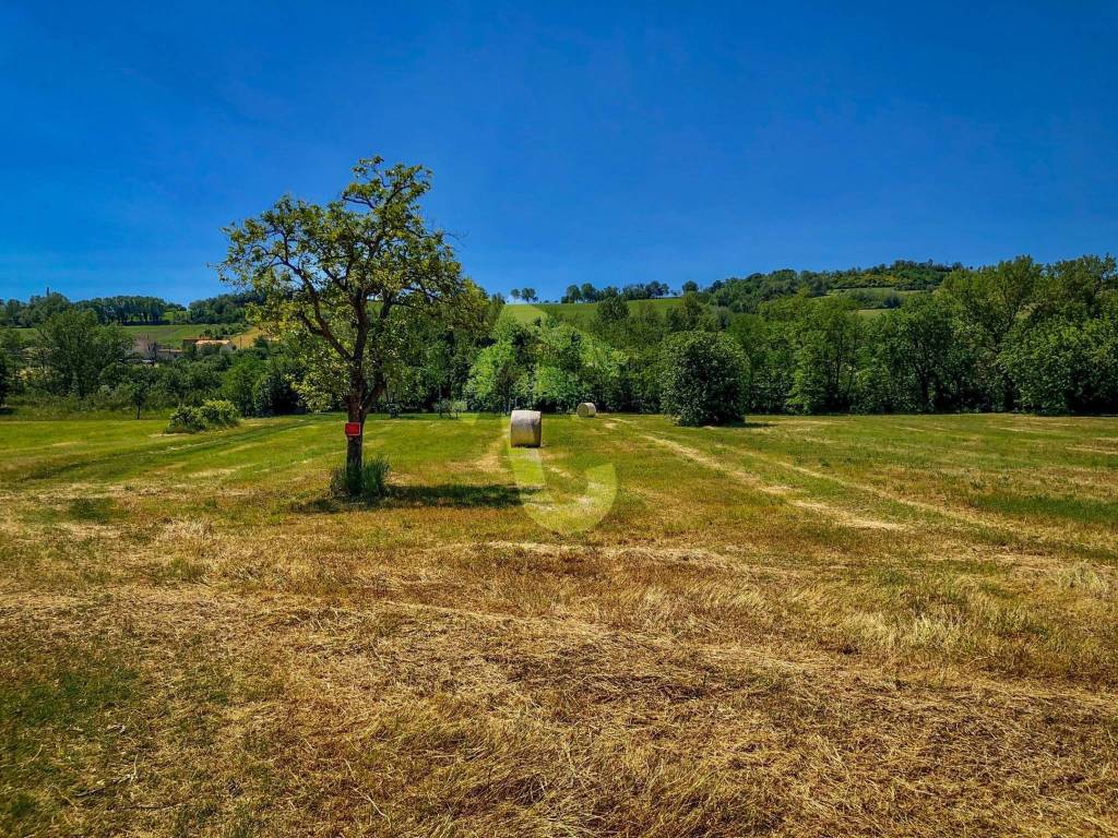Rustico / casale a Trecastelli - Foto 3
