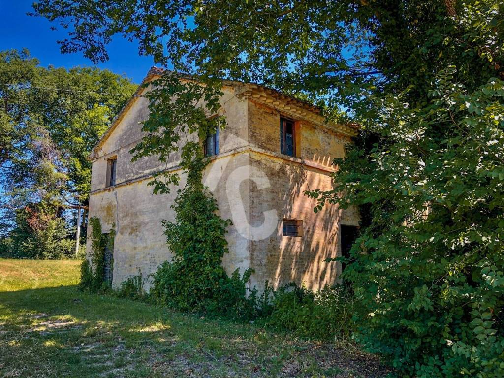 Rustico / casale a Trecastelli - Foto 4