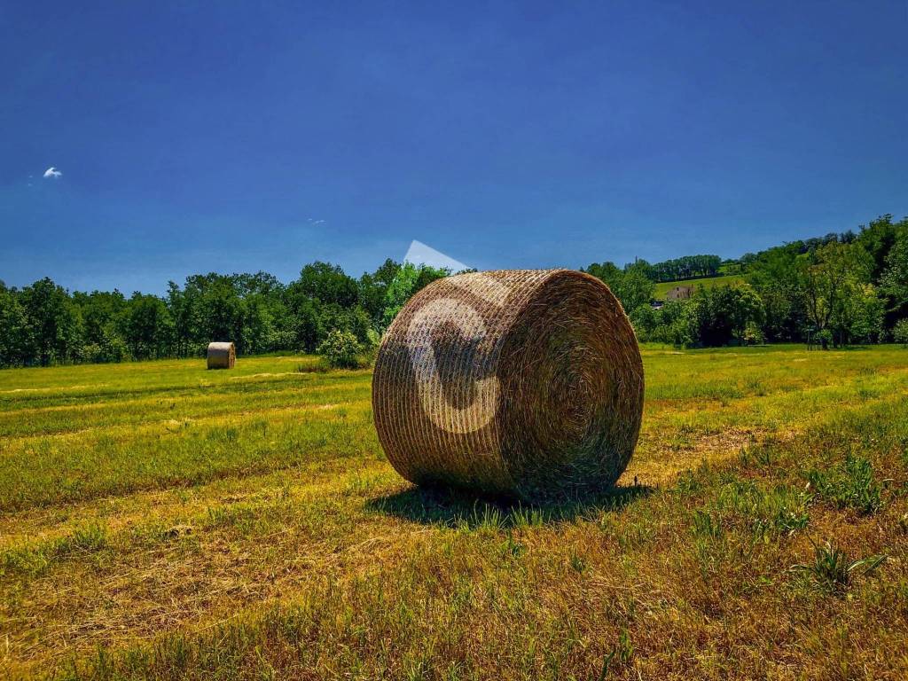 Rustico / casale a Trecastelli - Foto 5