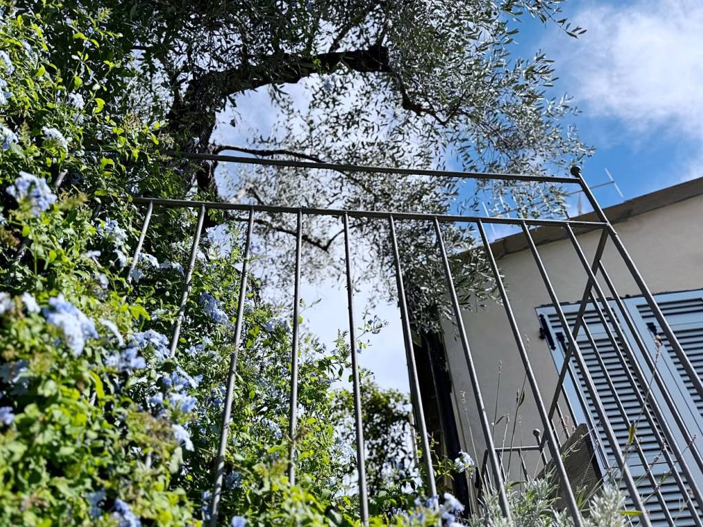 Rustico / casale a Diano san pietro in Via Partigiani, 18 - Foto 5
