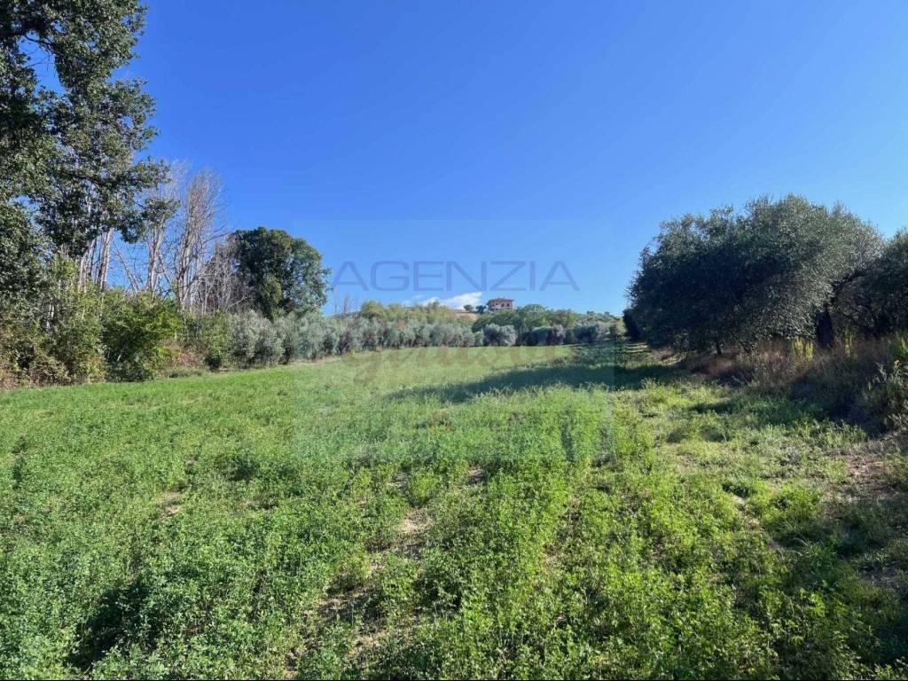 Terreno a Tortoreto in Via Sant'Angelo - Foto 2