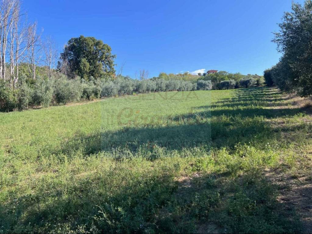 Terreno a Tortoreto in Via Sant'Angelo - Foto 3