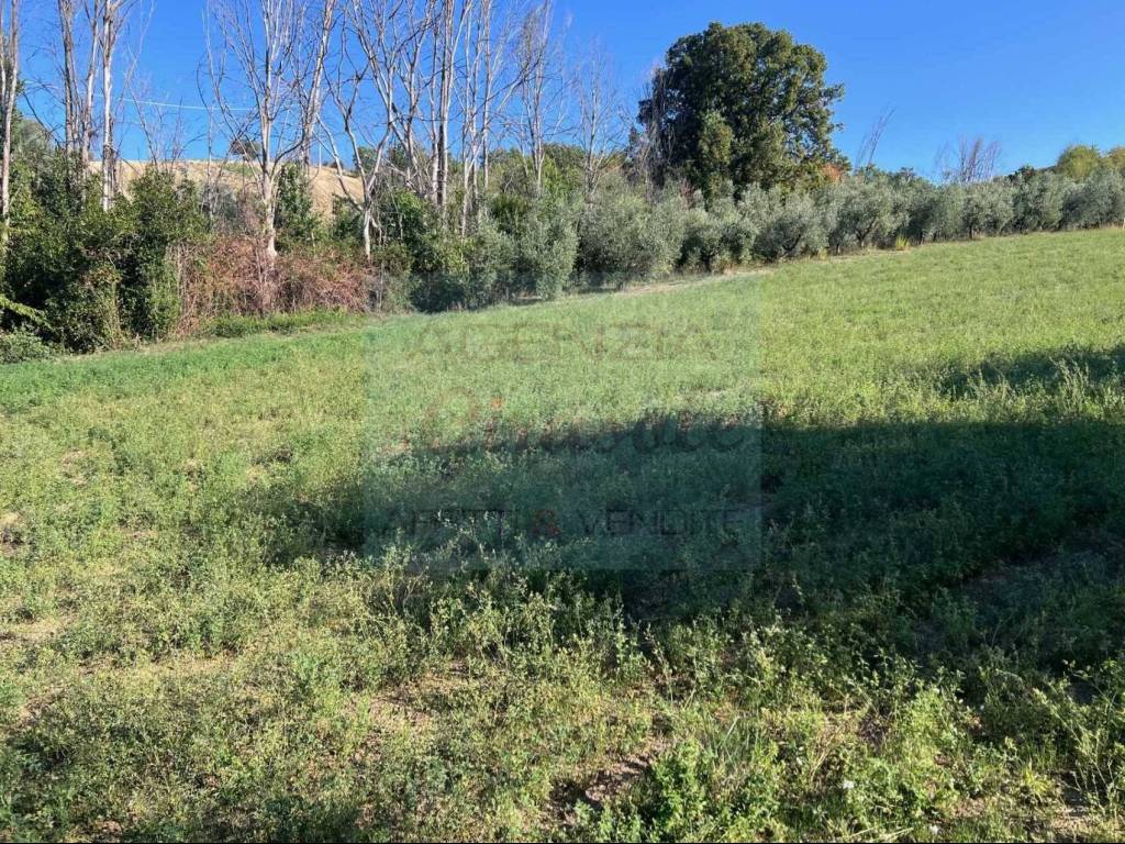 Terreno a Tortoreto in Via Sant'Angelo - Foto 4