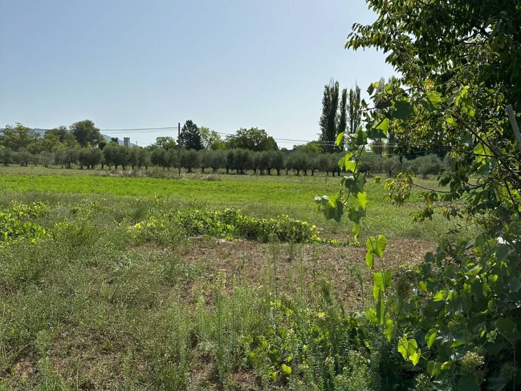 Villa a Anagni in Via Mola di Sotto, 12 - Foto 4