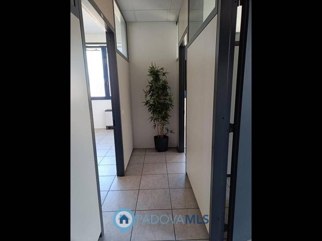 Immobile a Noventa padovana in Via Panà, 56/B - Foto 5