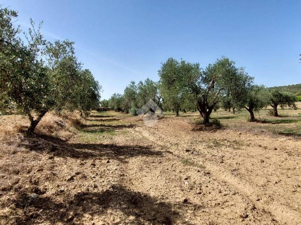 Terreno a Crotone in Località margherita - Foto 3