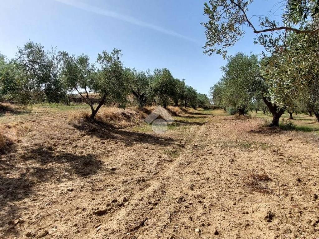 Terreno a Crotone in Località margherita - Foto 5