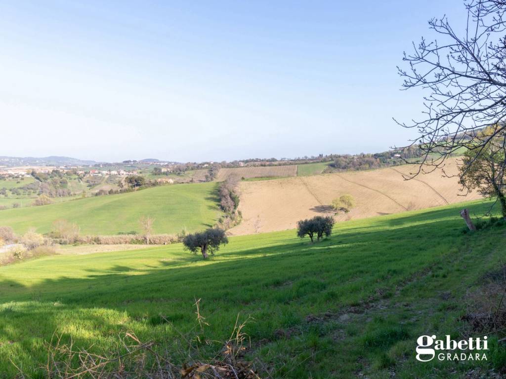 Terreno a Gradara in Via Tavullia, snc - Foto 5