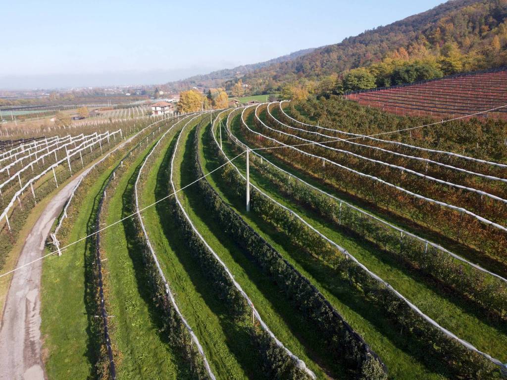 Terreno a Saluzzo in Via Pagno, 153 - Foto 2