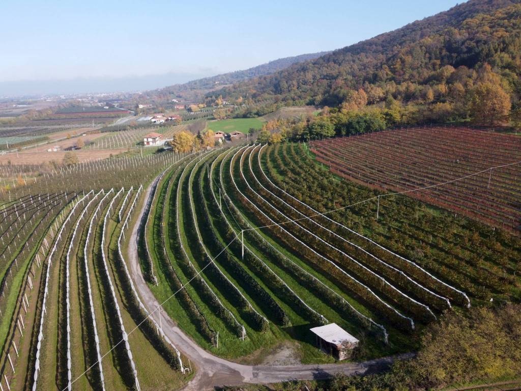 Terreno a Saluzzo in Via Pagno, 153 - Foto 3