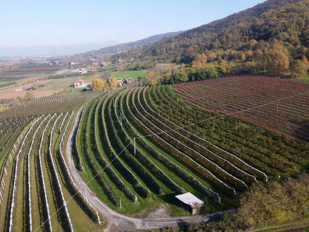 Terreno a Saluzzo in Via Pagno, 153 - Foto 4