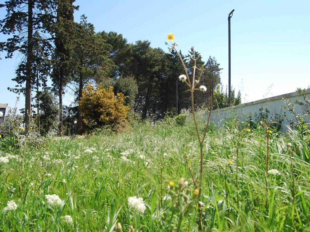 Terreno a Martina franca in Via Mottola, 91 - Foto 3