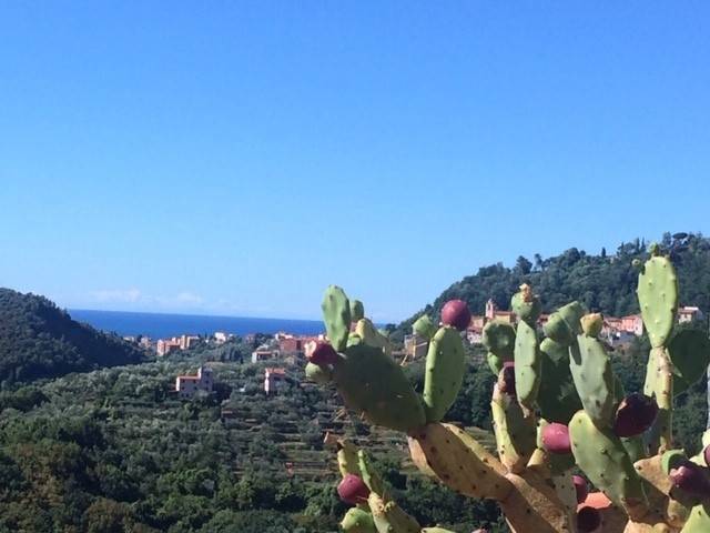 Appartamento a Arcola - Foto 3