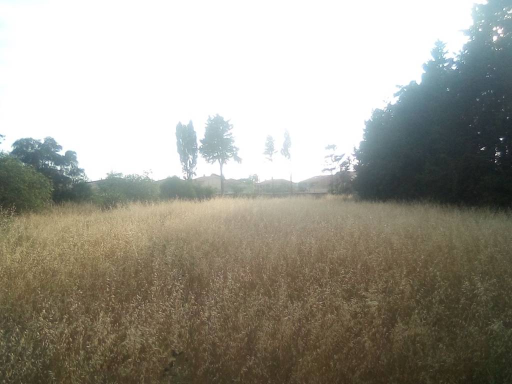 Terreno a Cabras in Via San Pietro, 38 - Foto 2