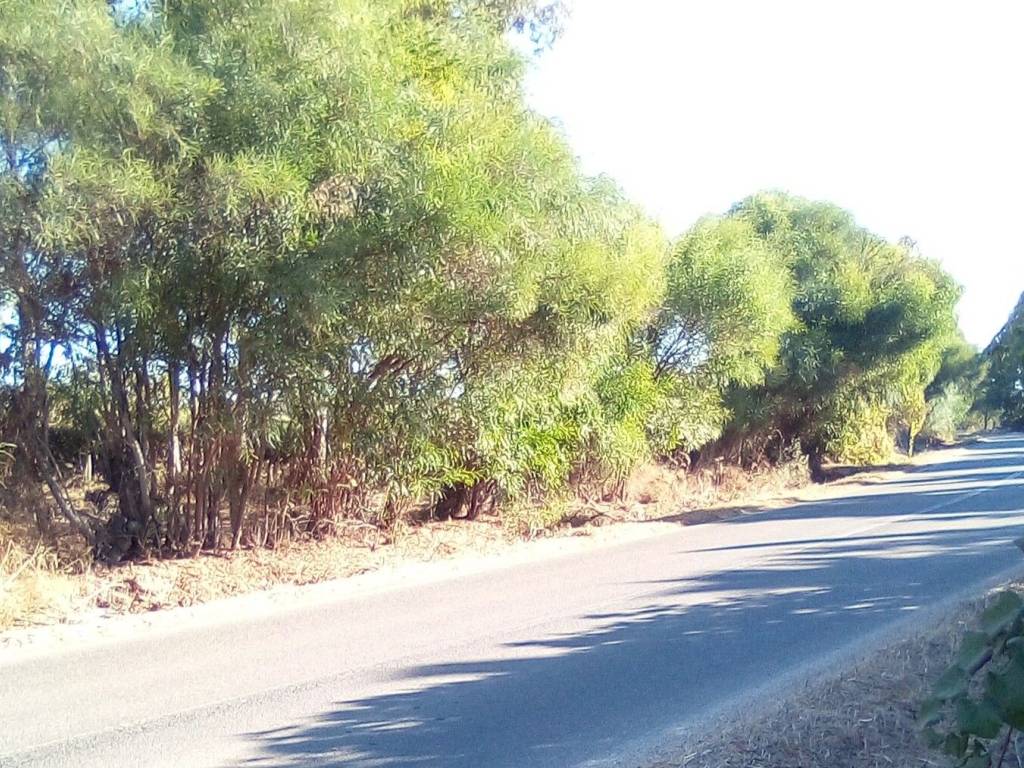 Terreno a Cabras in Via San Pietro, 38 - Foto 4