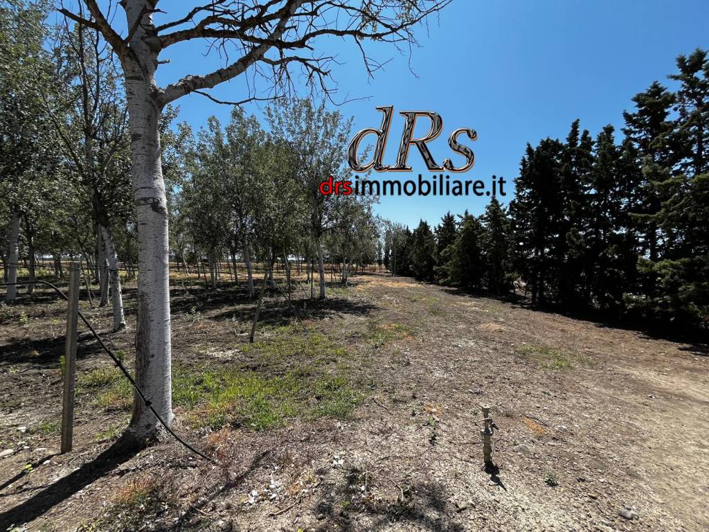 Terreno a Pisticci in Contrada Le Dune - Foto 4