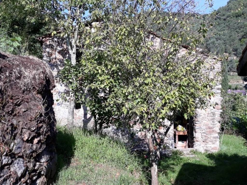 Villa a Ameglia - Foto 2