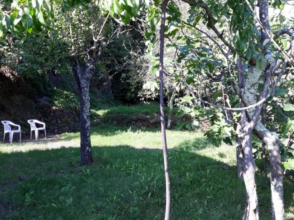 Villa a Ameglia - Foto 3