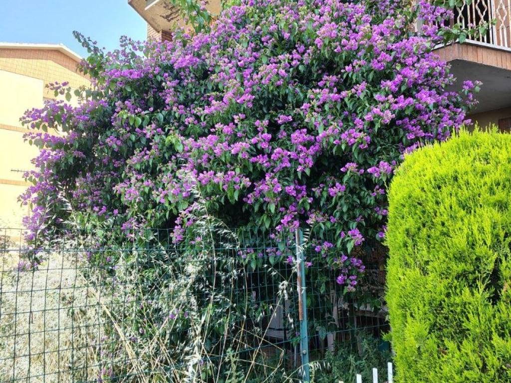 Appartamento a Pitigliano in Via Bognomini - Foto 2