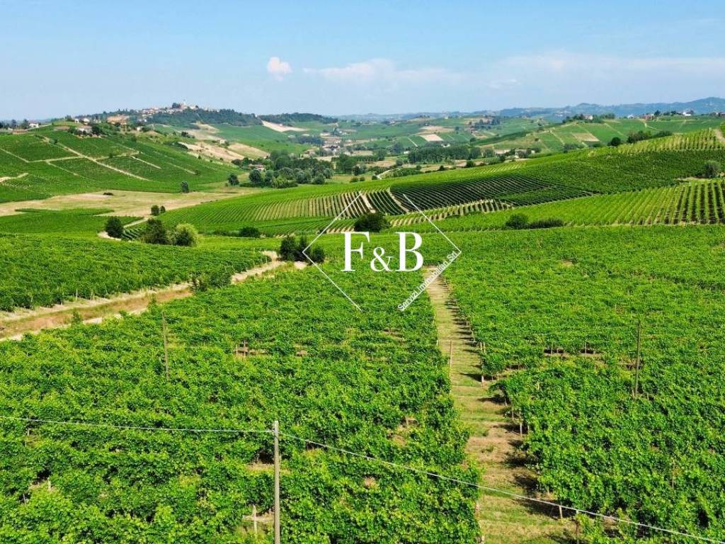Terreno a Canelli in Regione Ceirole - Foto 2