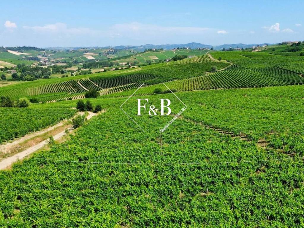 Terreno a Canelli in Regione Ceirole - Foto 3