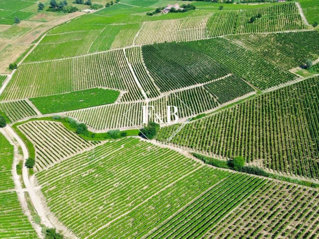 Terreno a Canelli in Regione Ceirole - Foto 4