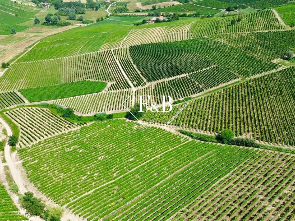 Terreno a Canelli in Regione Ceirole - Foto 5