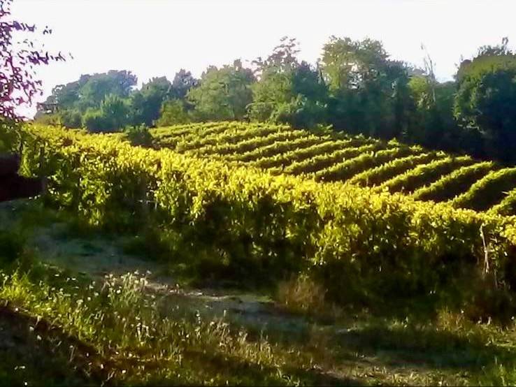 Rustico / casale a Cassine in Vicolo 4 Marzo, 23 - Foto 2