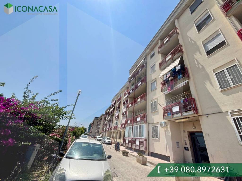 Appartamento a Bisceglie in Carrara Lamaveta - Foto 2