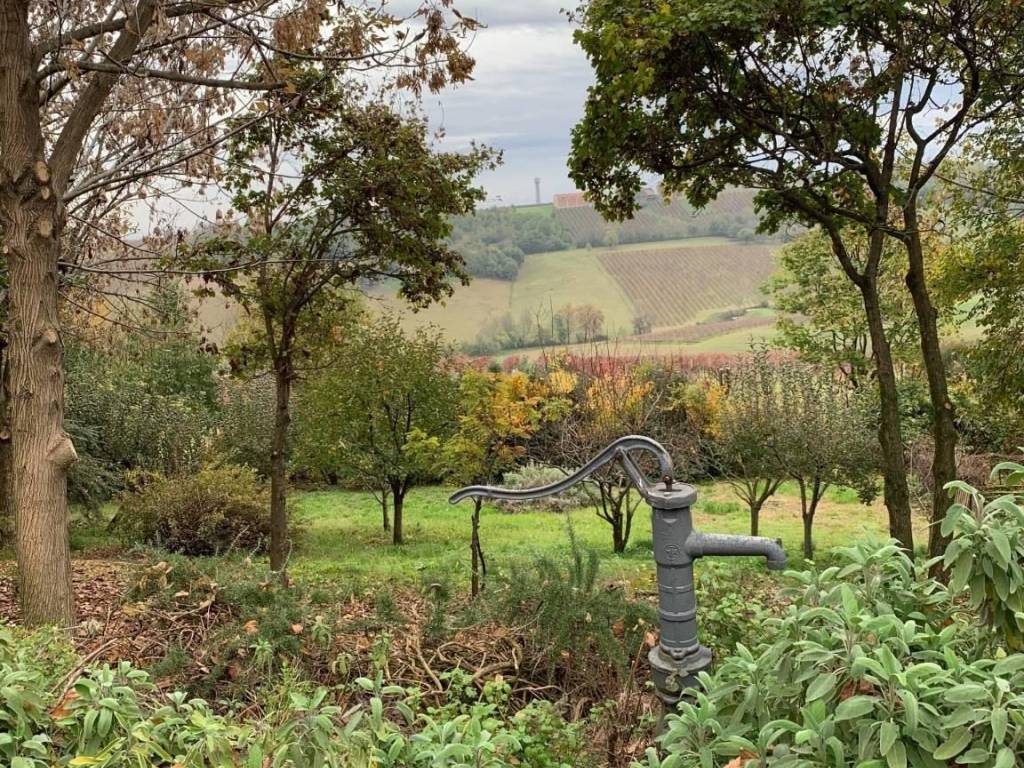 Villa a Castelvetro di modena in Via Lunga - Foto 5