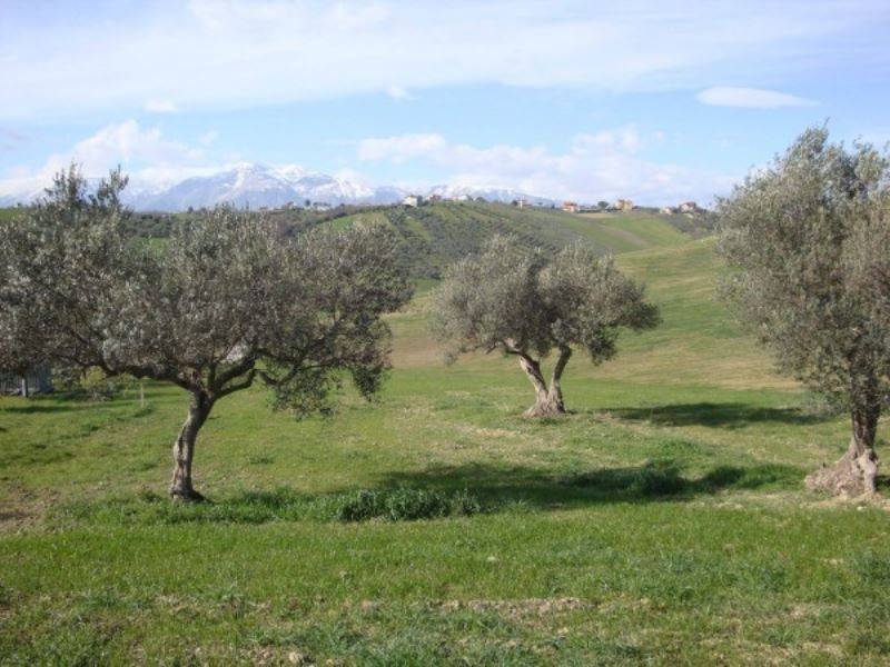 Rustico / casale a Sant'eusanio del sangro in contrada cotti - Foto 2