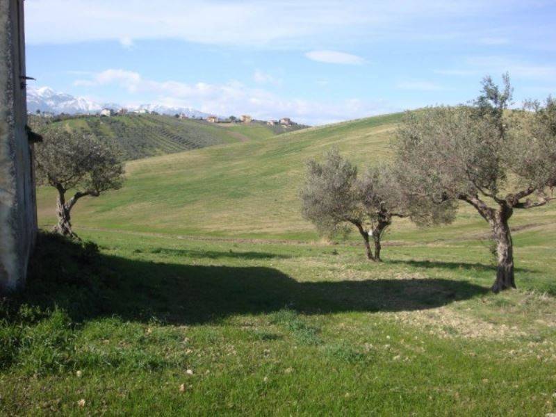 Rustico / casale a Sant'eusanio del sangro in contrada cotti - Foto 5