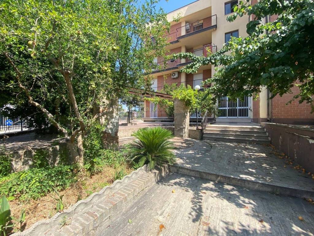Appartamento a San severo in Viale Checchia Rispoli - Foto 5