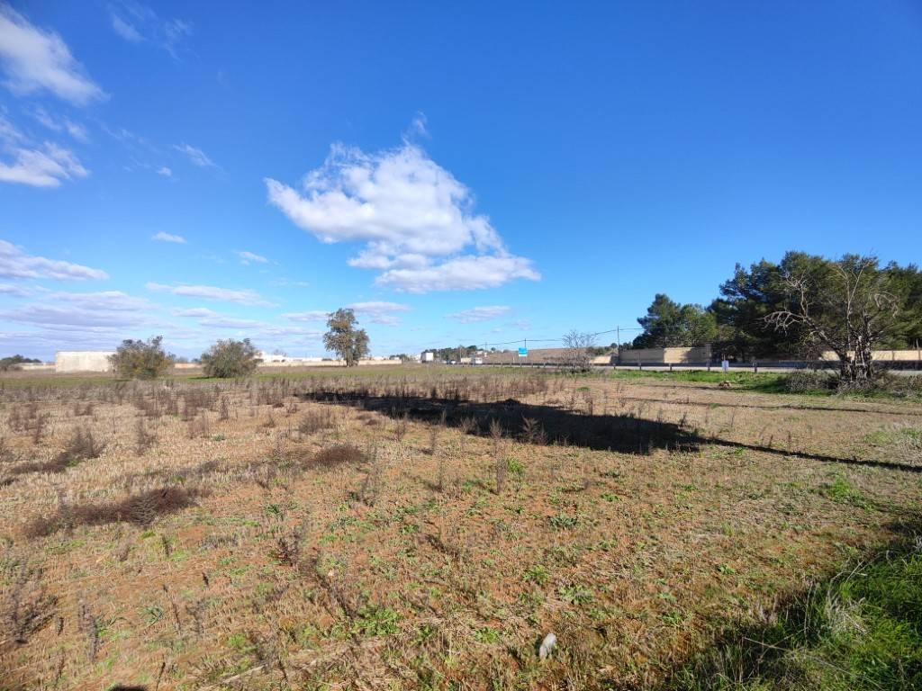 Terreno a Surano in SS275 - Foto 4