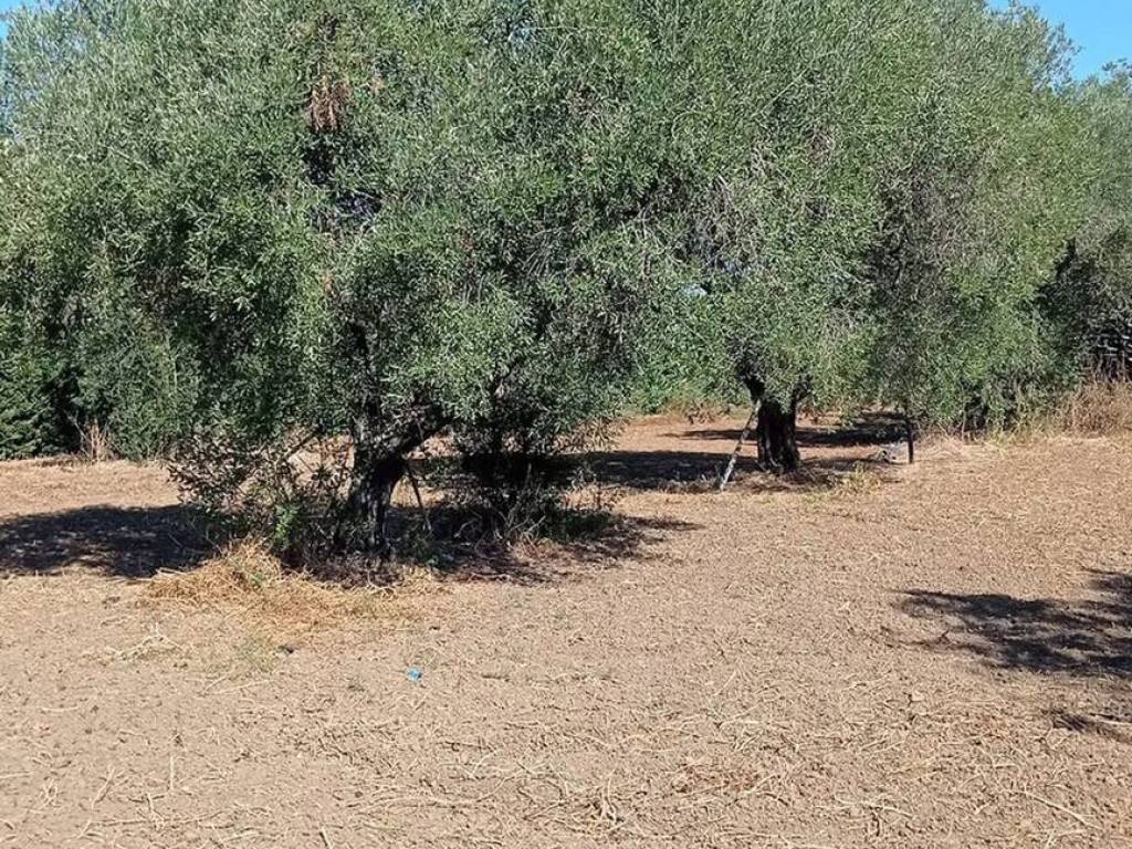 Terreno a Casarano in Via Matino - Foto 5