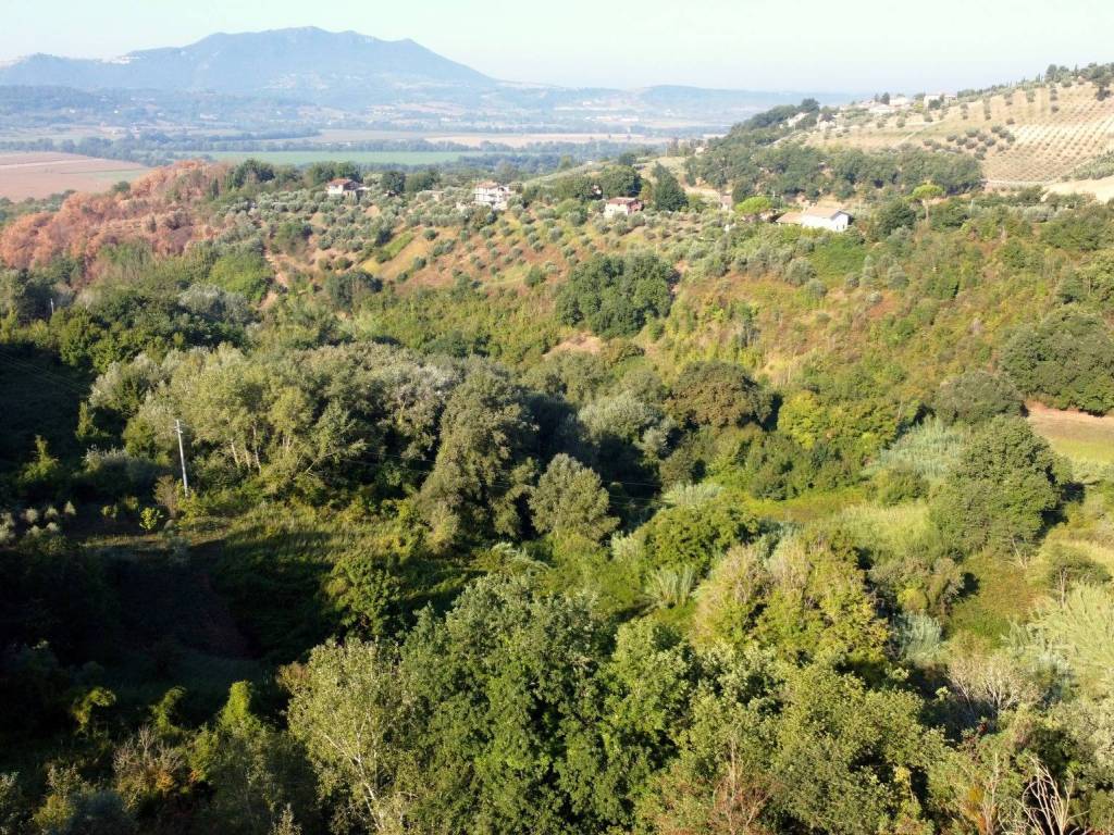 Terreno a Forano in Località Pacciani, 7 - Foto 3