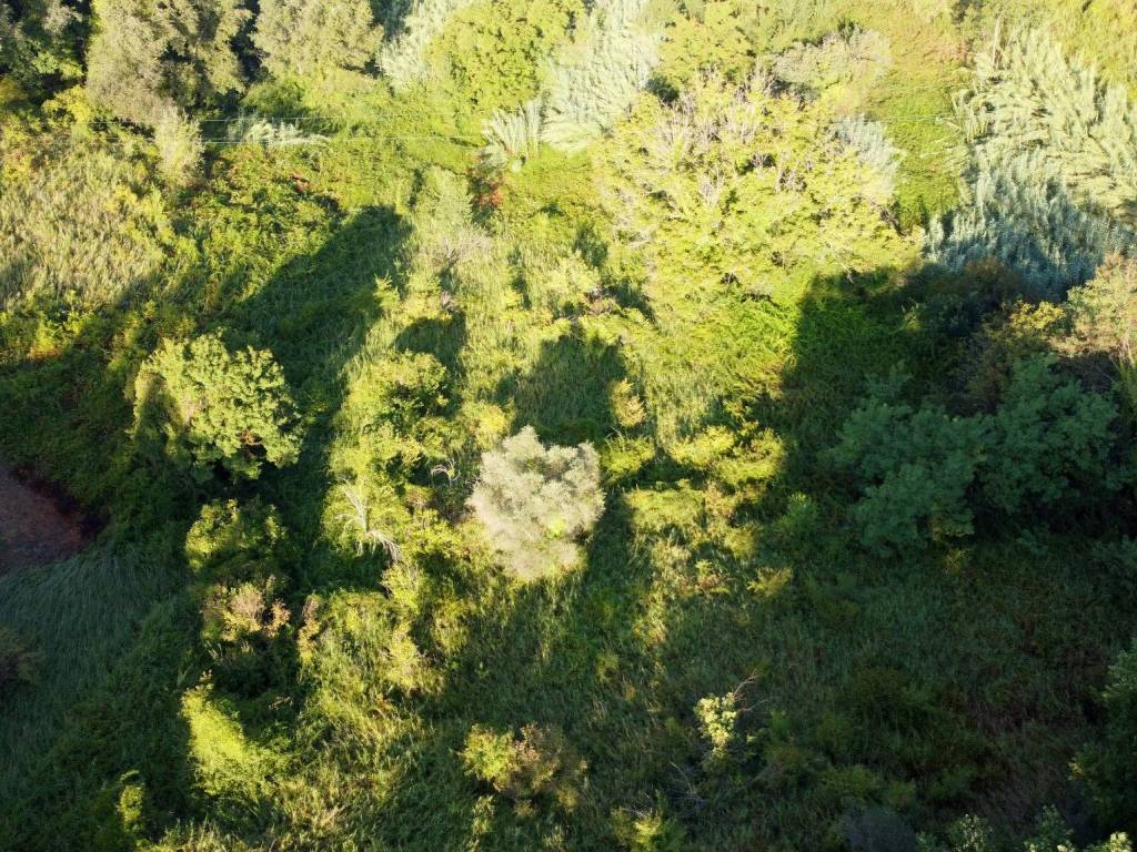 Terreno a Forano in Località Pacciani, 7 - Foto 5