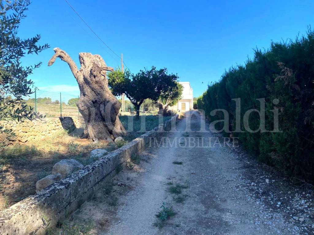 Villa a Sannicola in via calabria, 0 - Foto 3
