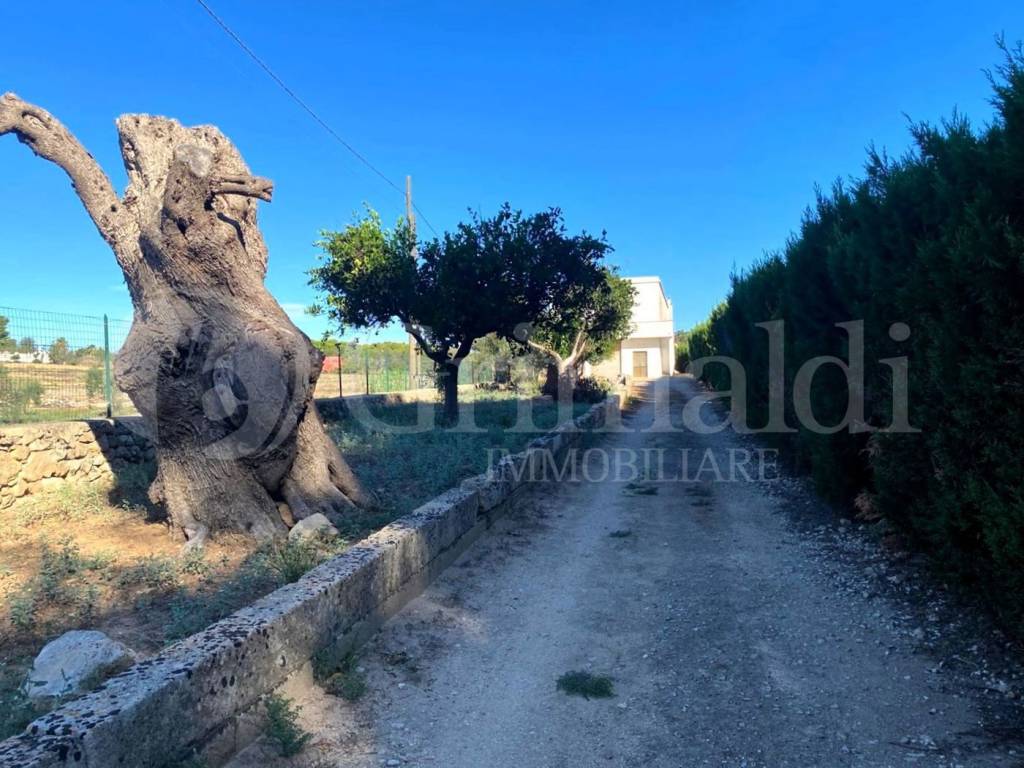 Villa a Sannicola in via calabria, 0 - Foto 4
